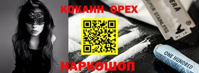 индика Гусев